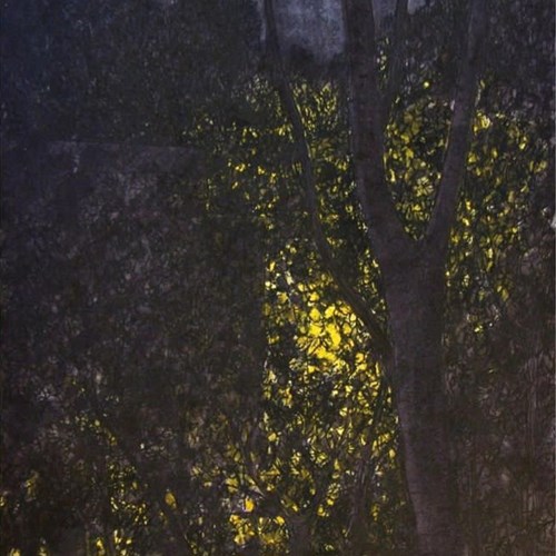 می‌ایستم، لحظه‌ای را از میان تاریکی صدا می‌کنم