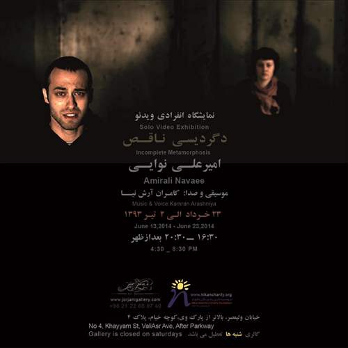 دگردیسی ناقص