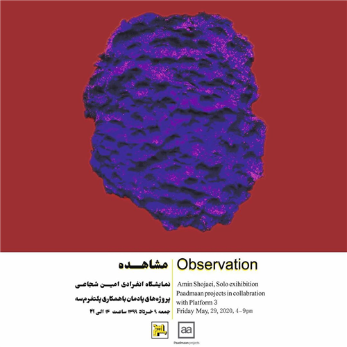 Observation - Online Viewing 