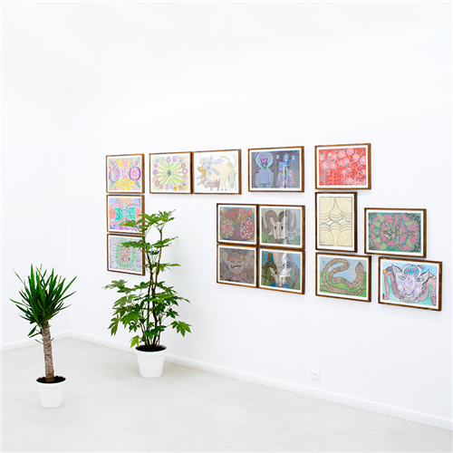 گل های اهلی