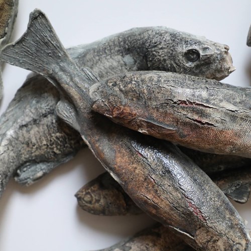 ماهی‌هایی که با من دویده‌اند