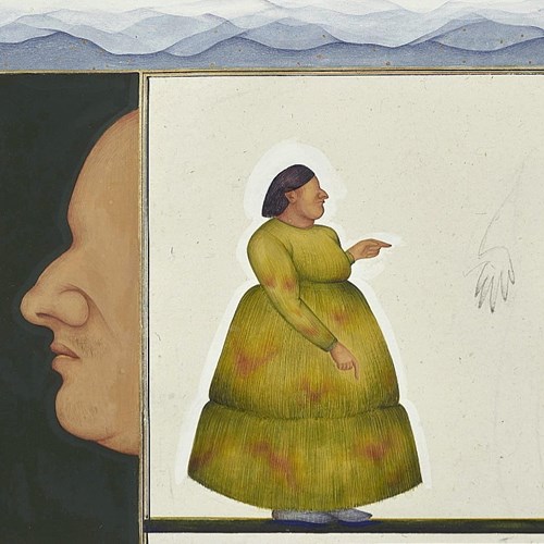 اردک اردک غاز