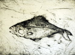 Engraving and Drawing