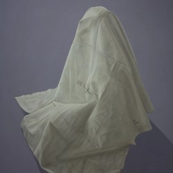 گالری شیوا زاهد