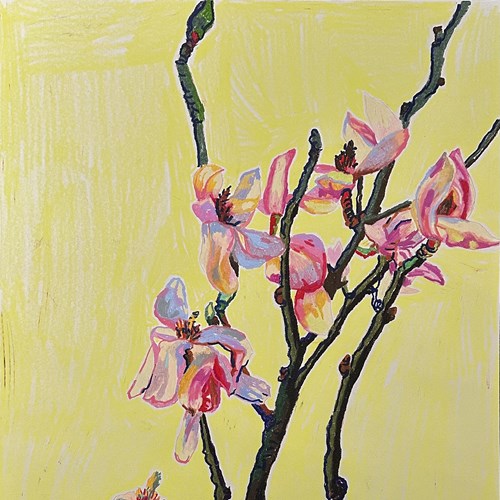 غزلیات باغبانان خاموش