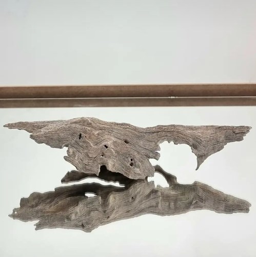 An Account of 40 Years of Friendship