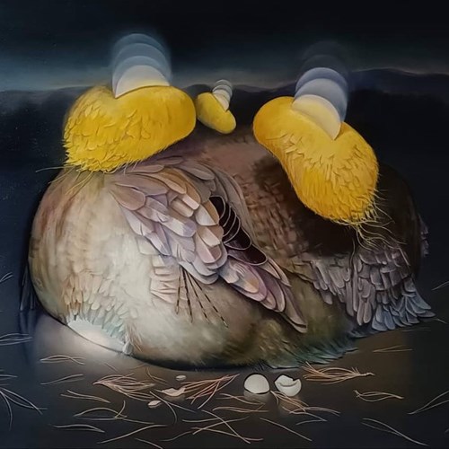 درخت طوبی - به دو روایت