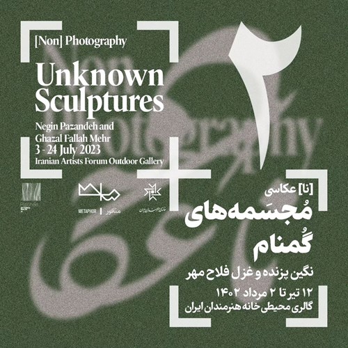 (نا) عکاسی مجسمه‌های گمنام