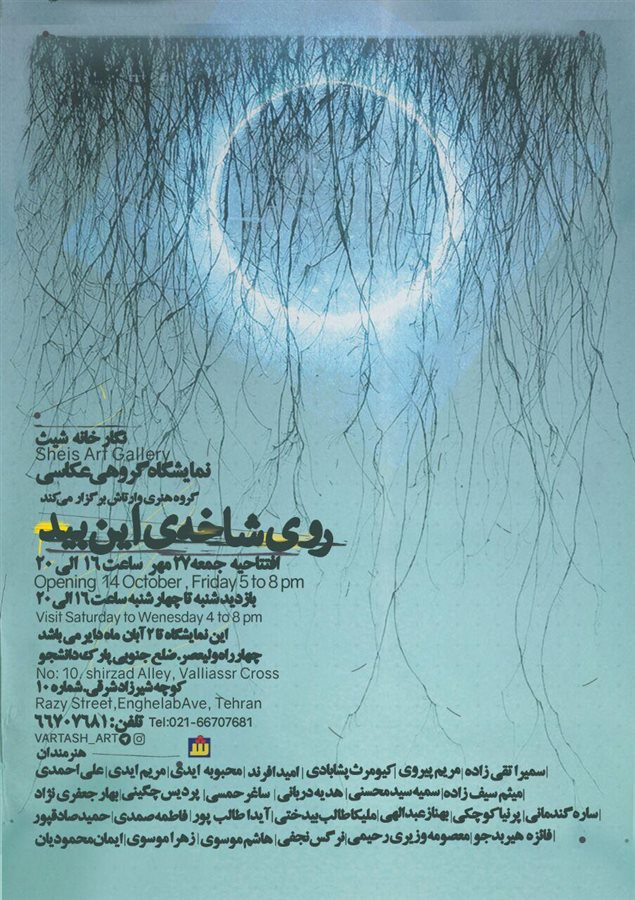 روی شاخه‌ی این بید