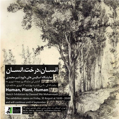 انسان، درخت، انسان