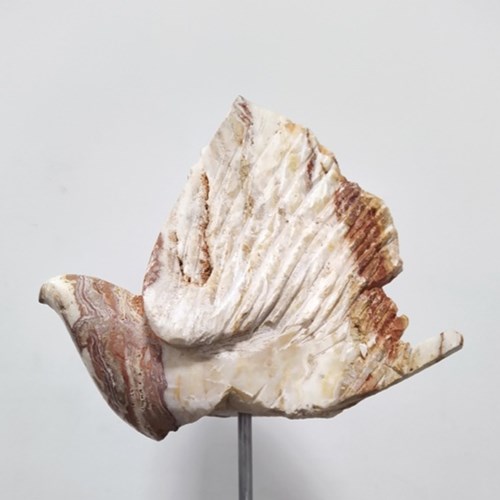 باغ و پرنده