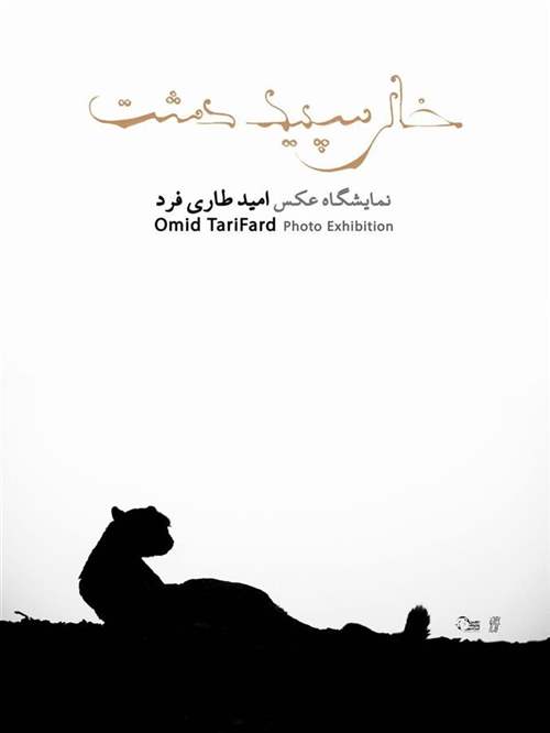 White Emptiness of the Plain