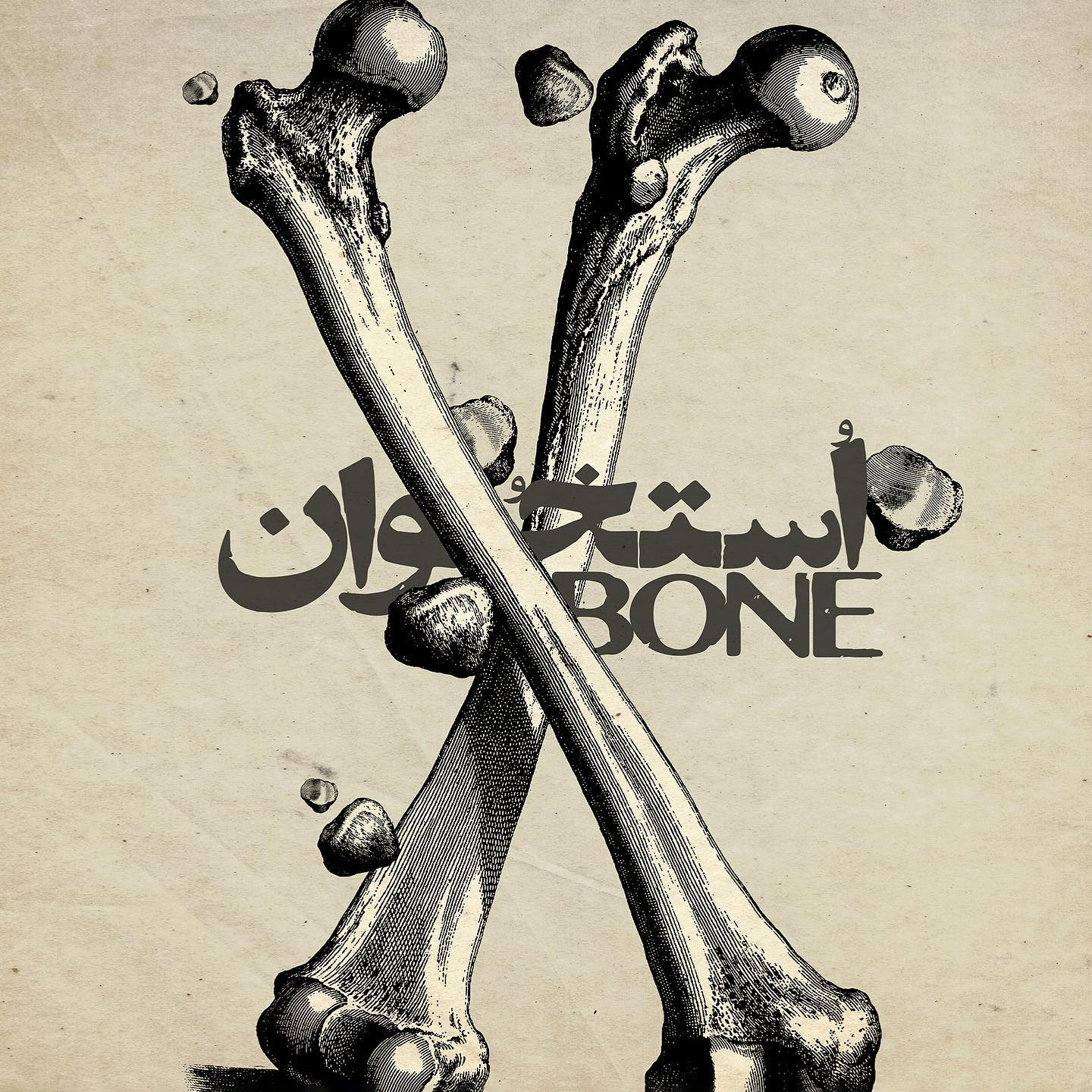 The Bone