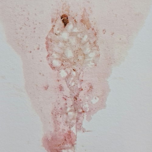 You Made Me Bloody Red