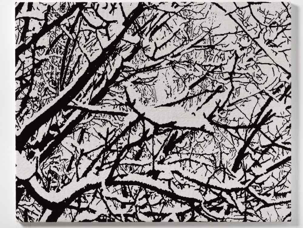 First Snow