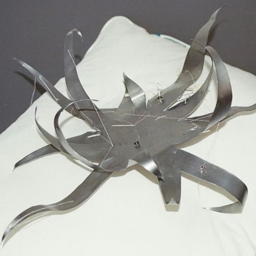 ققنوس بیرون از خاکستر