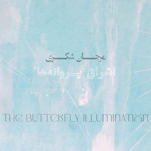 The Butterfly Illumination