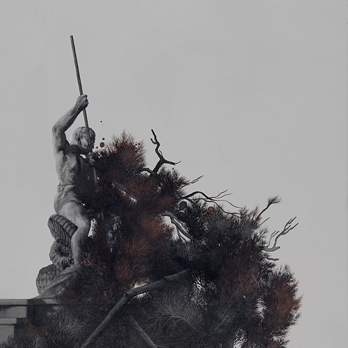 کاج‌های کاشفی