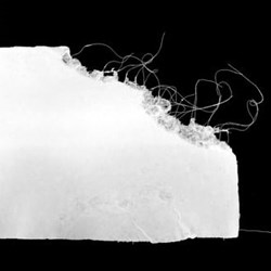 آلگامینر کانسموِرین