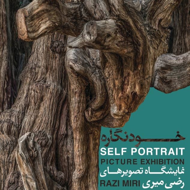 Self Portrait