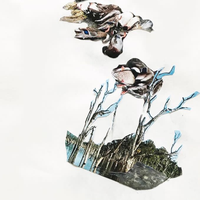 Remnants