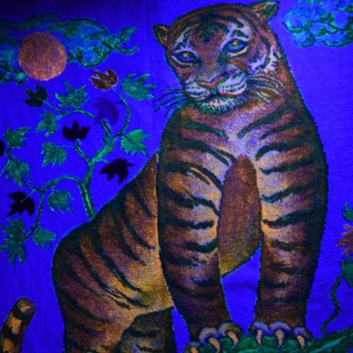 احتمال انقراض