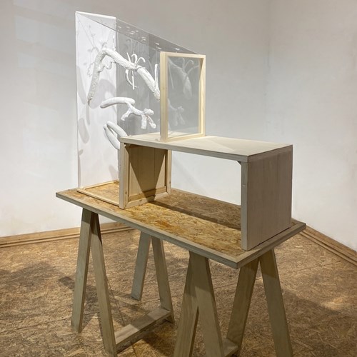 تشریح نقاشی