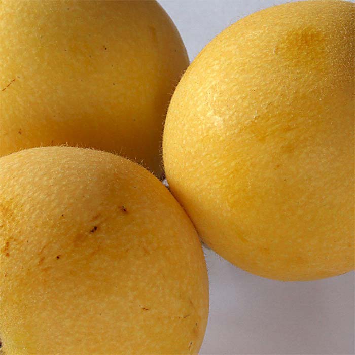 Fruit 3