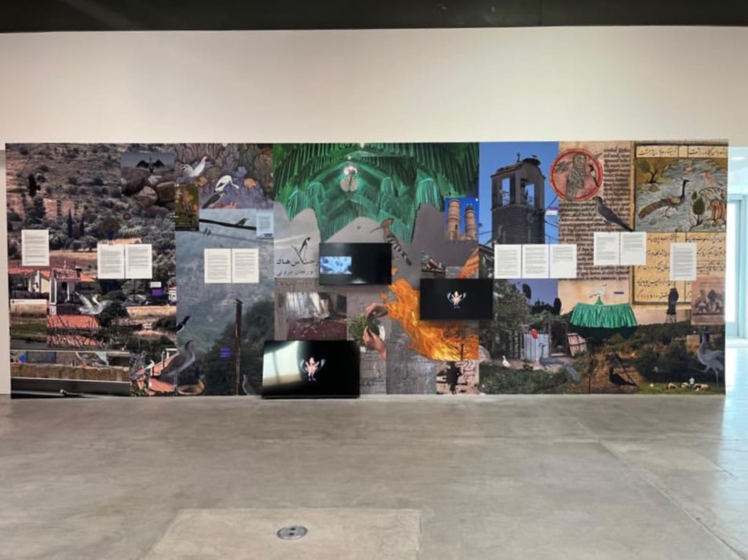 To Share a Stomach, installation view