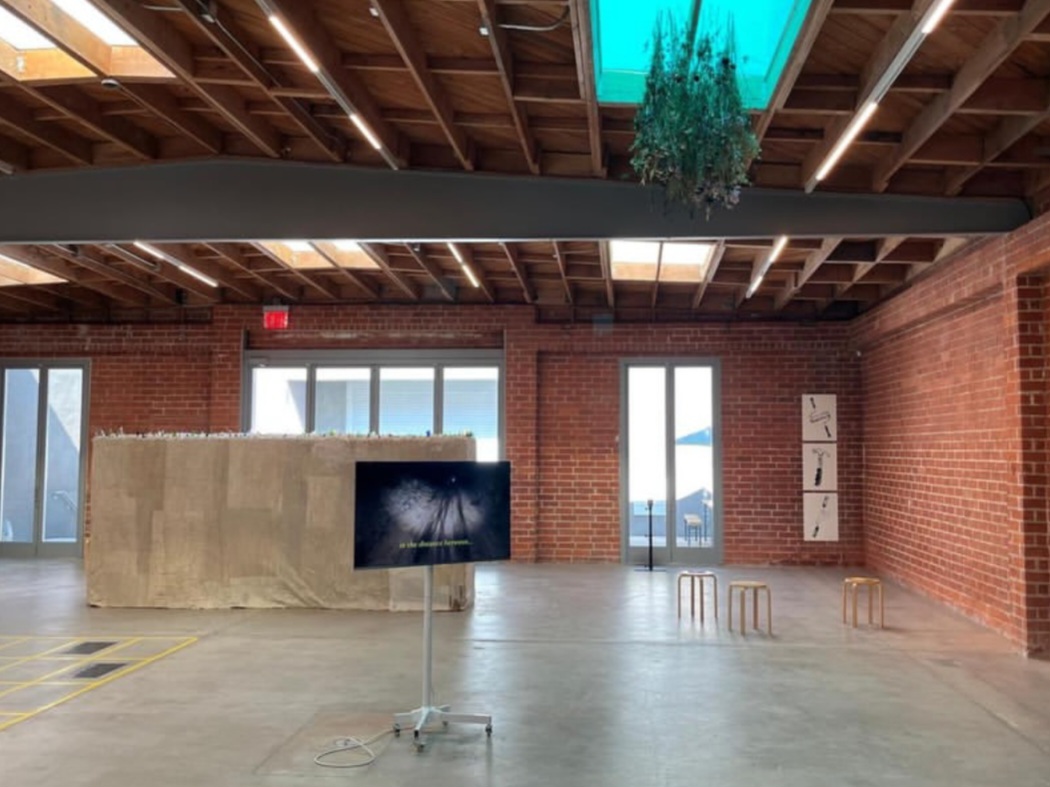 To Share a Stomach, installation view