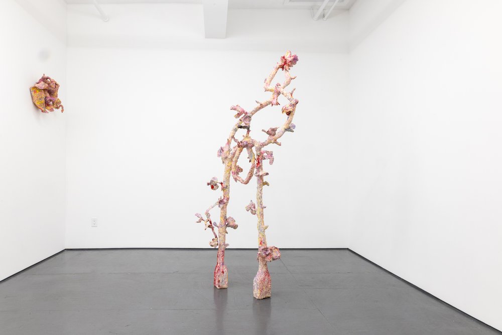 Familiar Like Skin, installation view