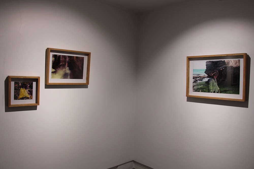 Distorted Sight, installation view