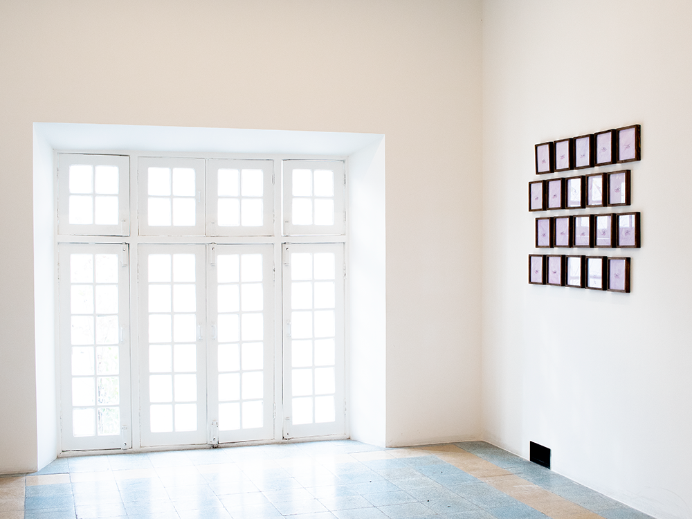 Wrote the Garden, Uttered the Bird Time and Again, installation view