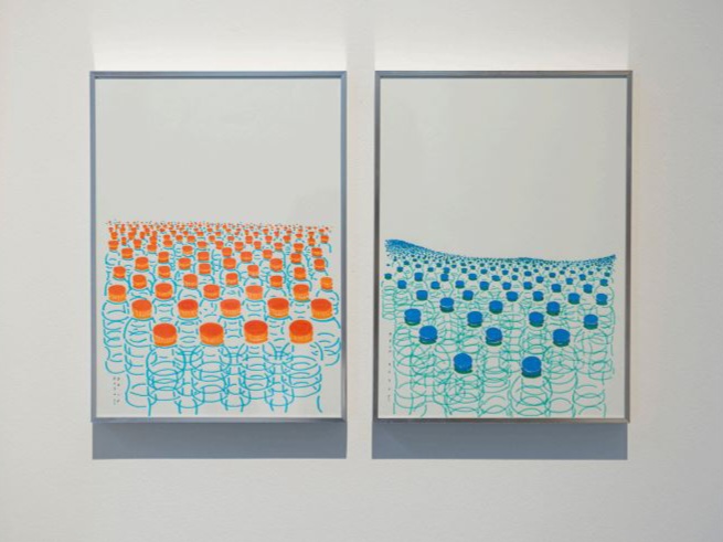 Beyond a Canvas: Eyes on the Work of Nature, installation view