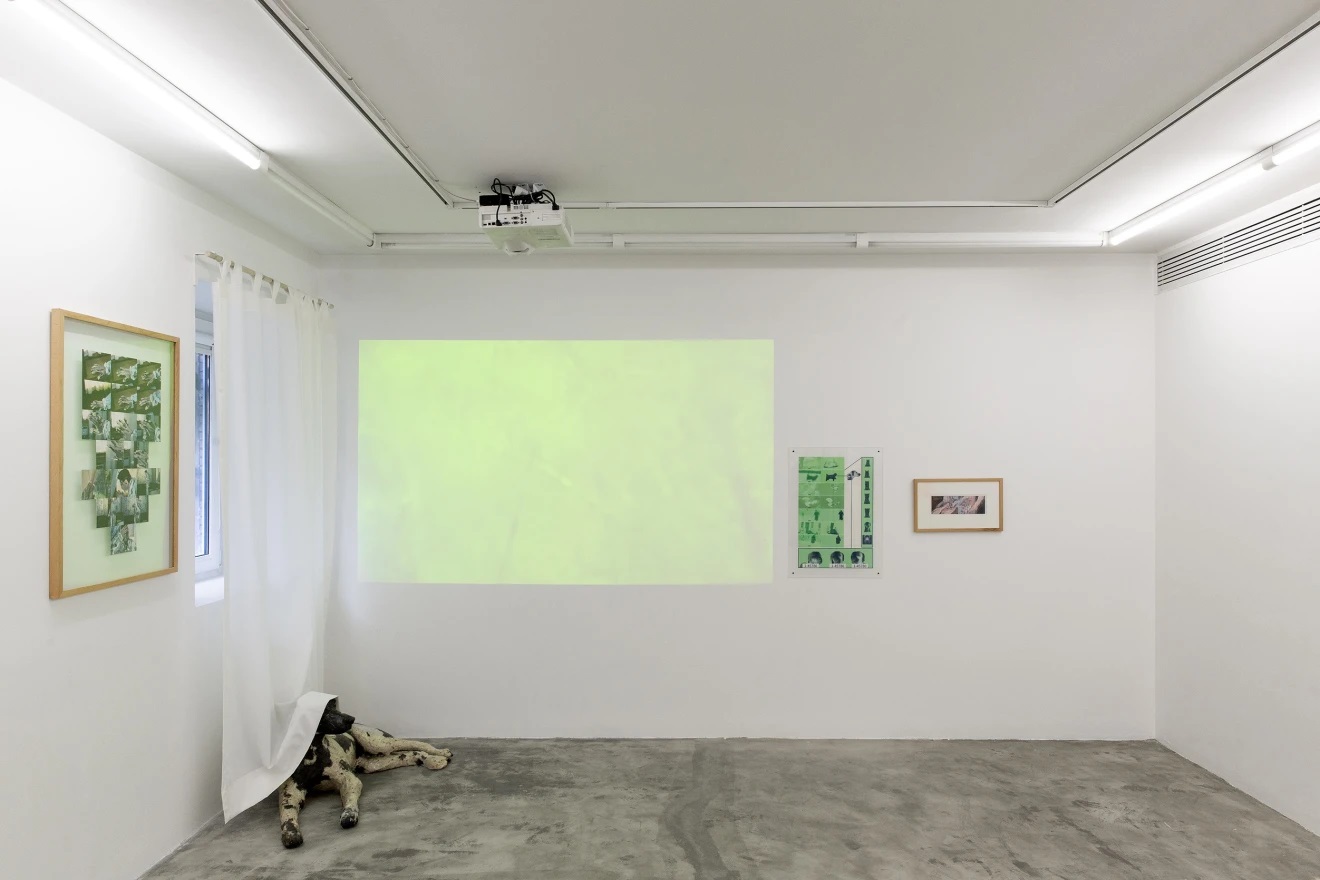 Nature of Things, installation view