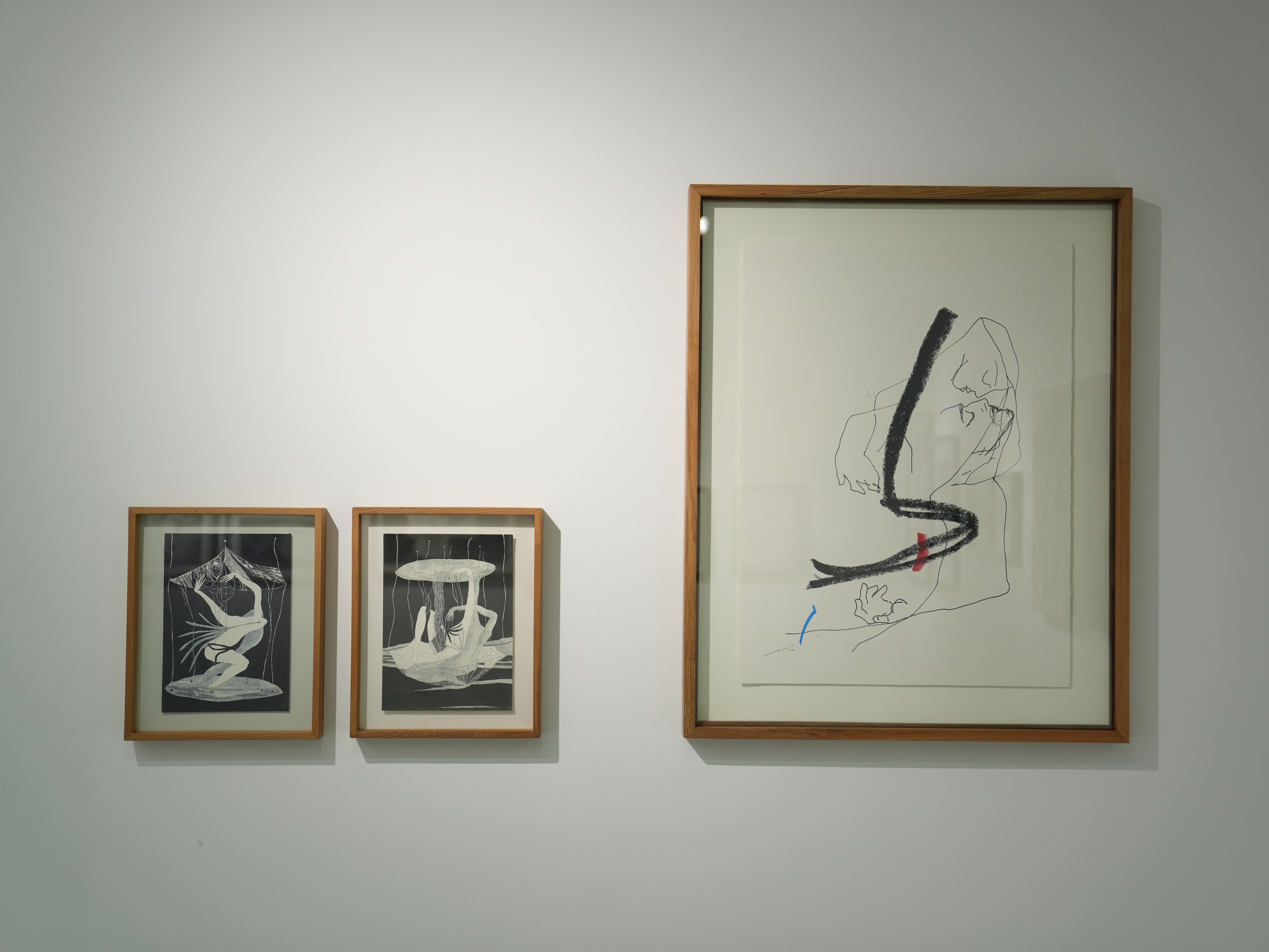 The HAYA Collection and Other Selections Selected, installation view