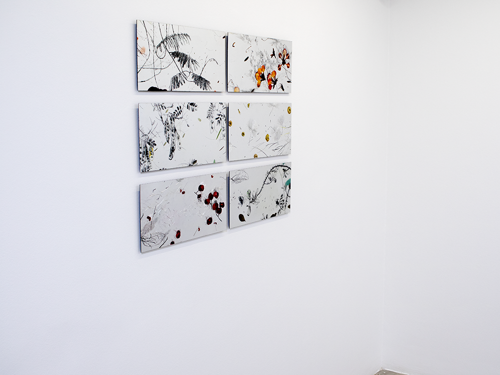 State of Mind, installation view