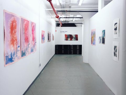 This Bitter Earth, installation view