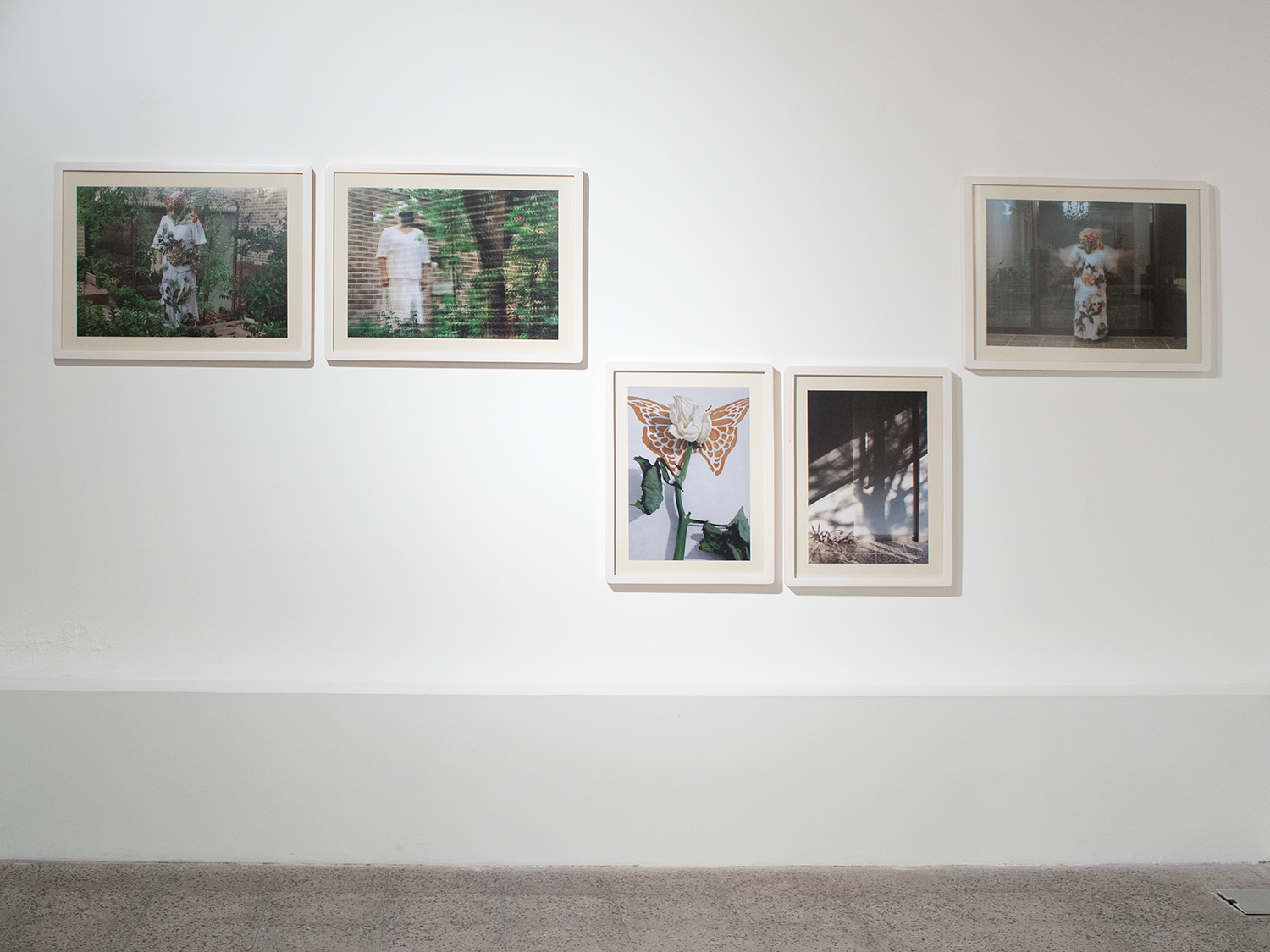 The Shadow Dosen't Hide The Light, installation view