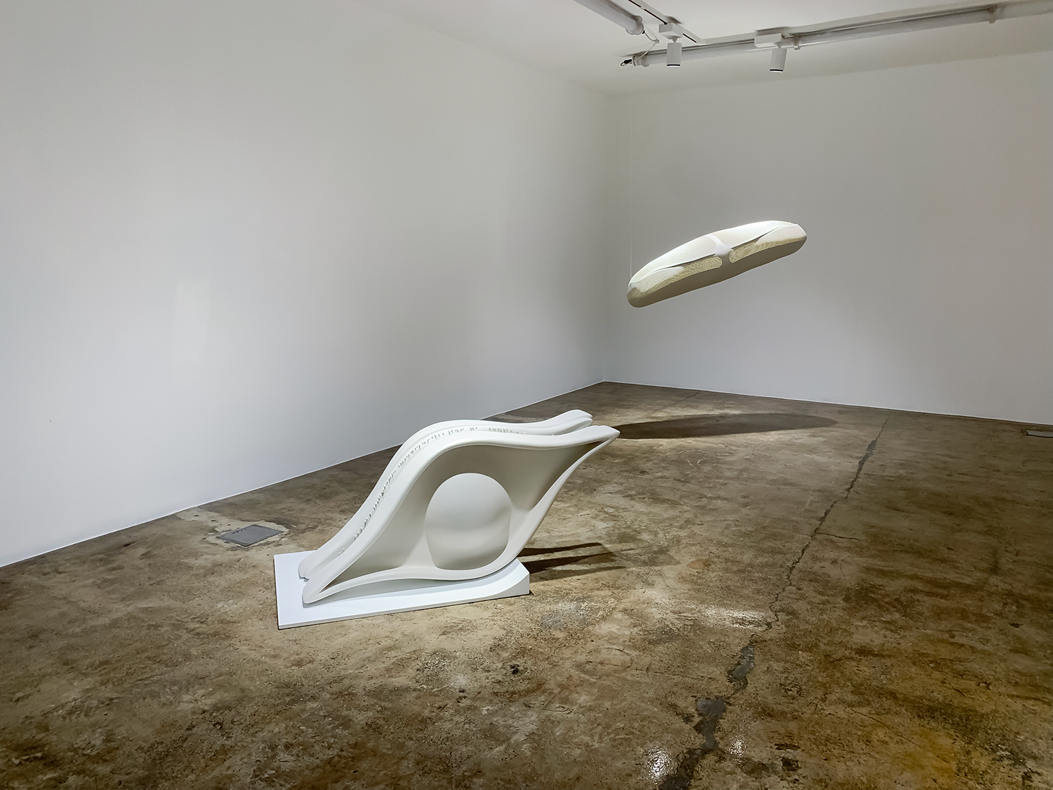 Biosis, installation view