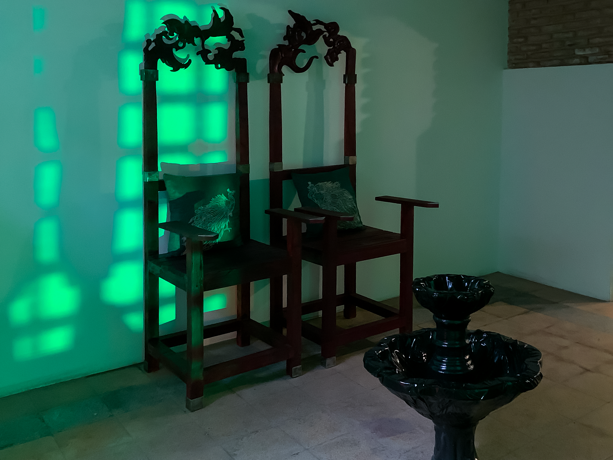 Peacock’s Excuse, installation view