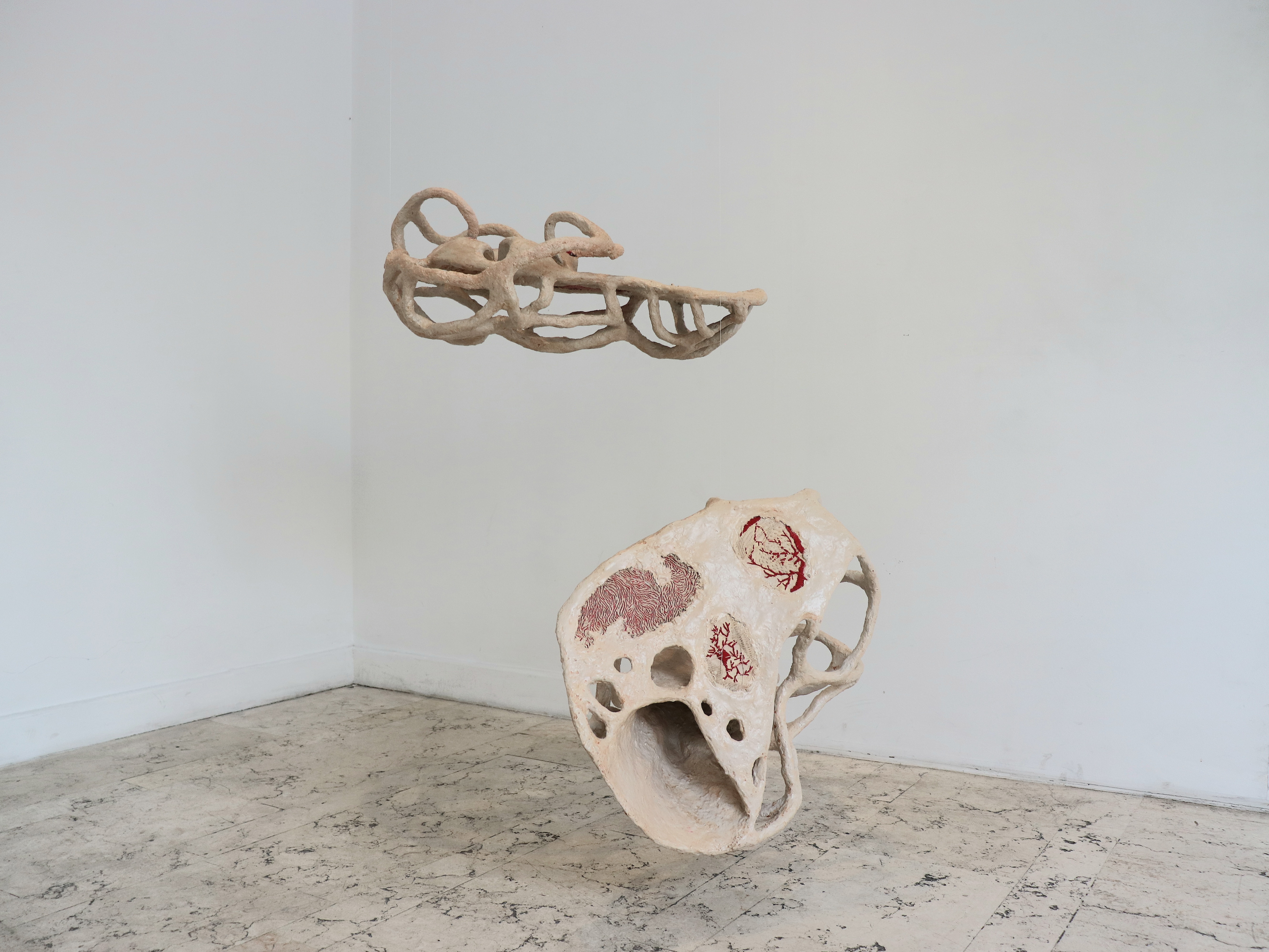 Maturation, installation view