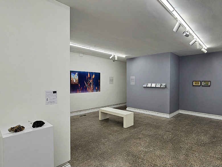 The Journey No.3/The Residents of the Enlightenment Home, installation view