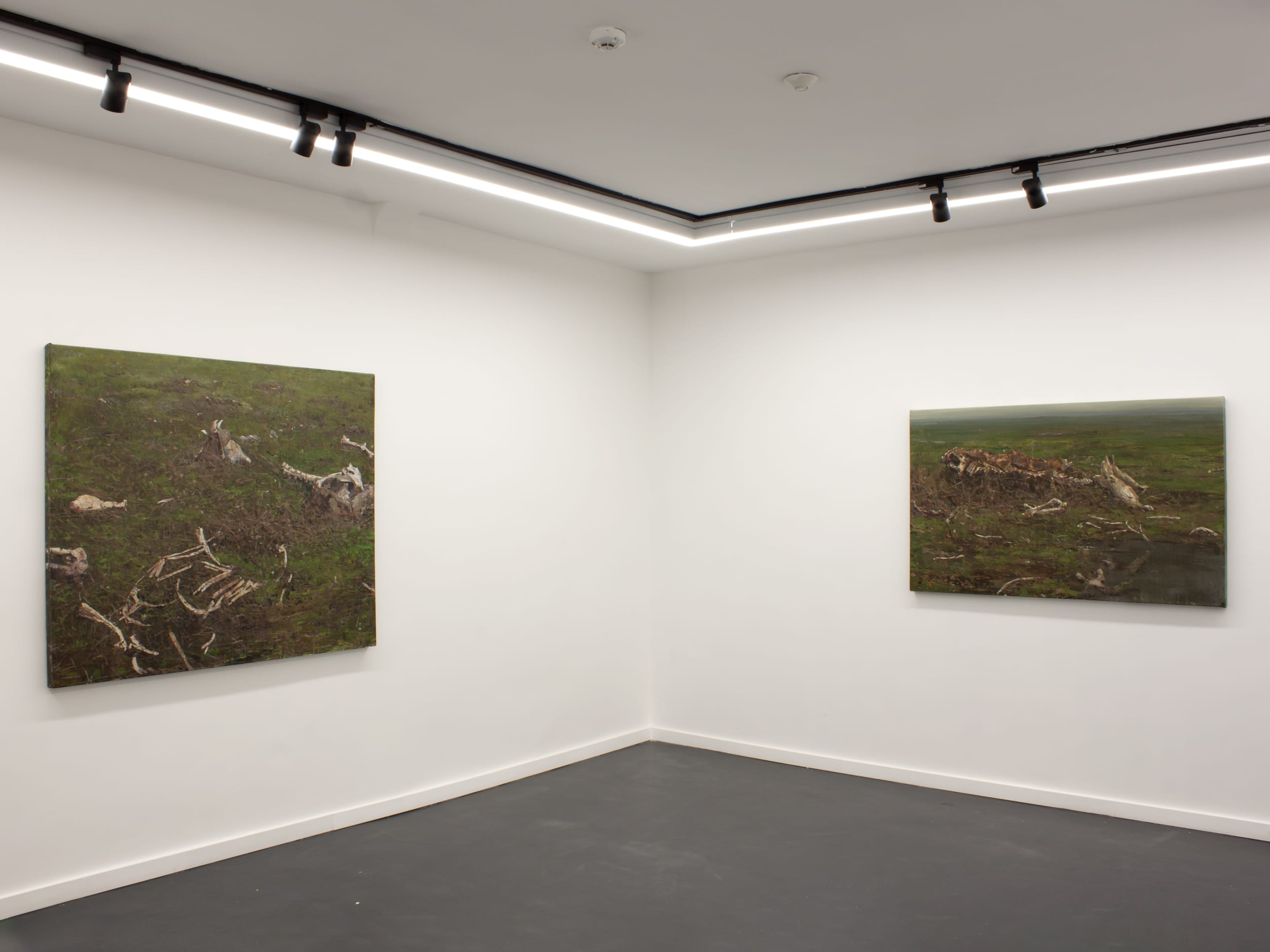 Enclosure, installation view