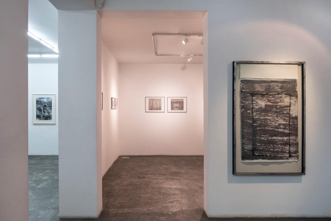 Typology of Lines and the Absence/Presence of Color Amongst Other Things, installation view