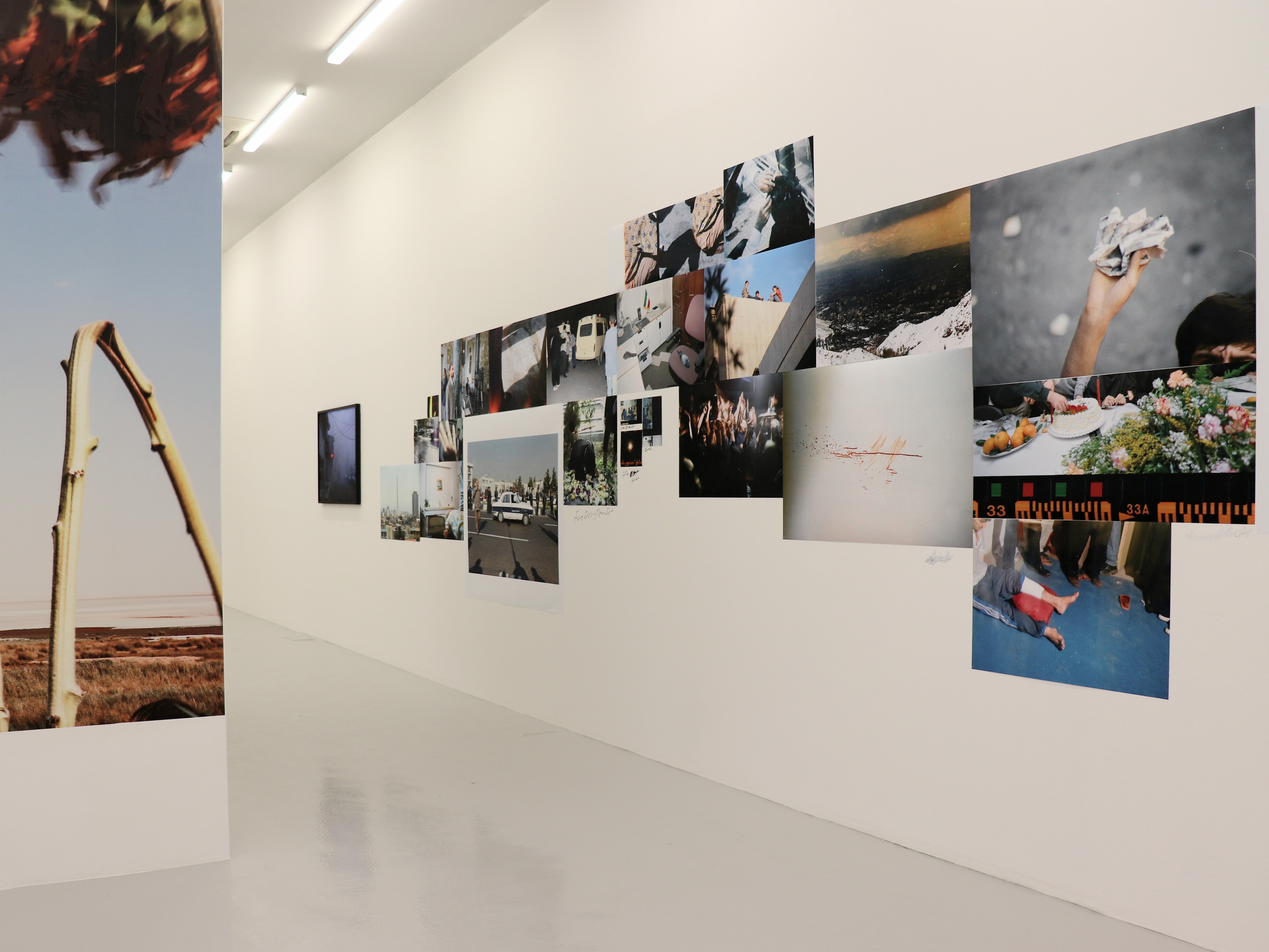 And They Laughed at Me, installation view
