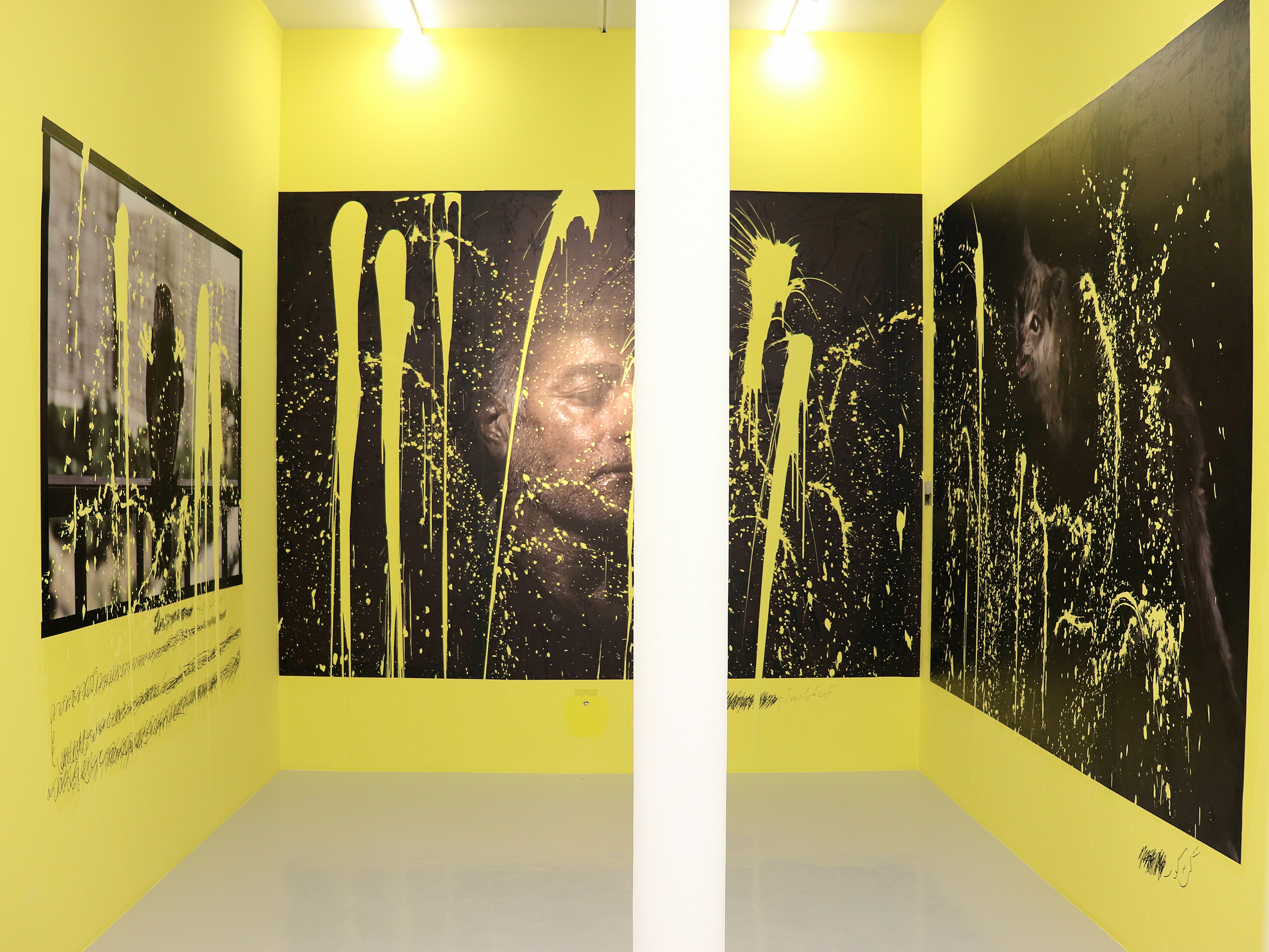 And They Laughed at Me, installation view