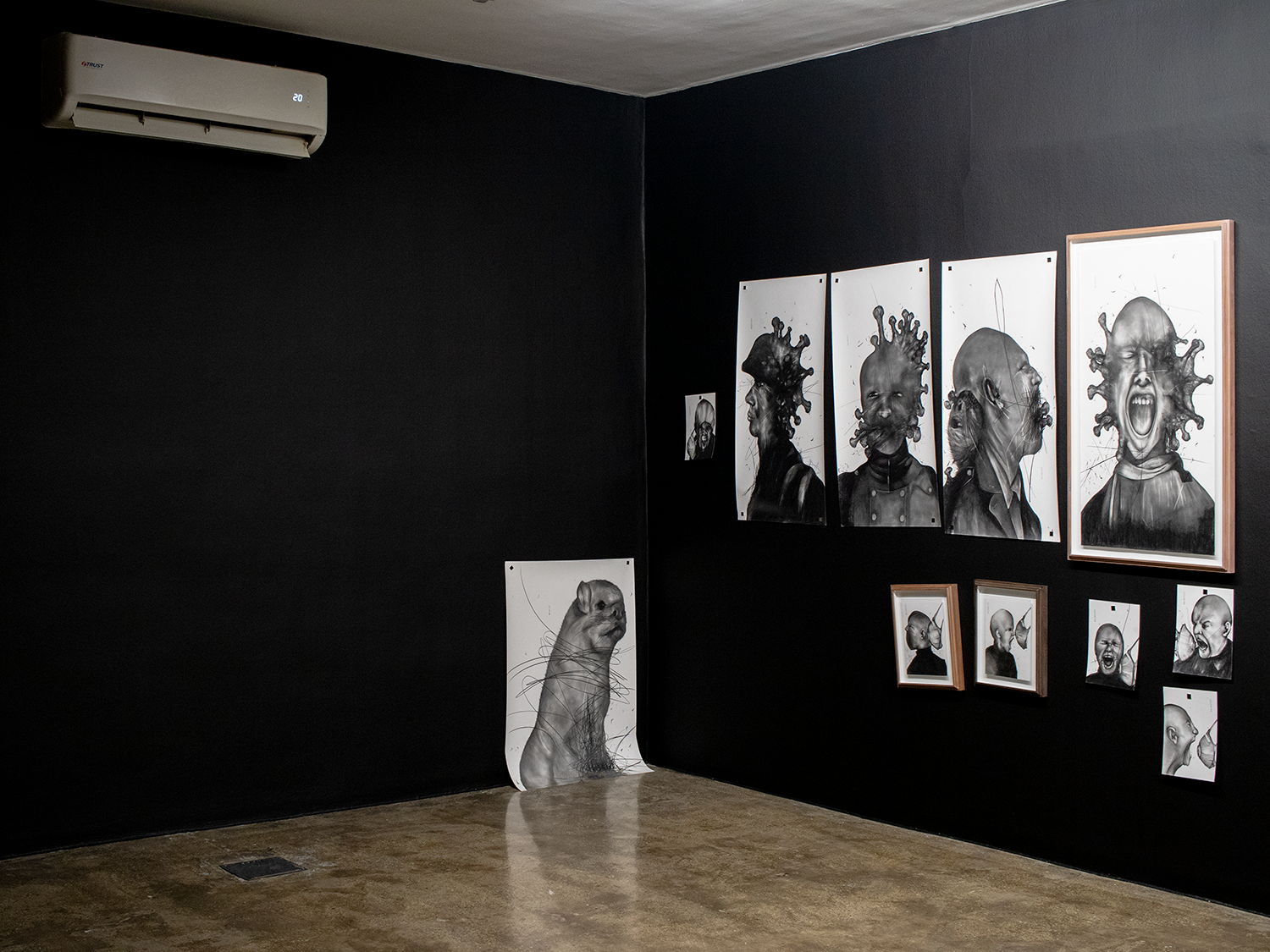 Cluster 5, installation view