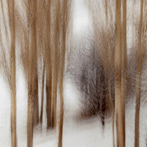 چشم‌های خسته‌ات را باز کن