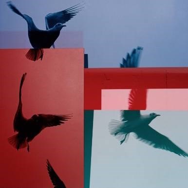 Lessons of Freedom: Notes for a Trip to Iran, 1970-2023